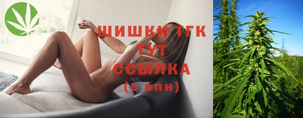 амф Абинск