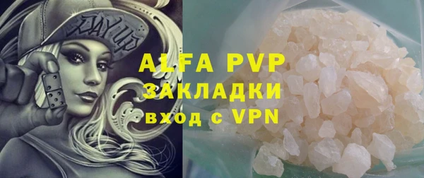 шишки Чердынь