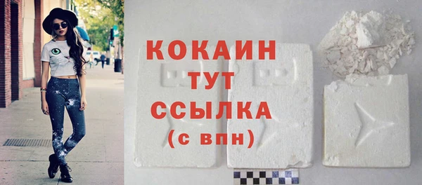 хмурый Абаза