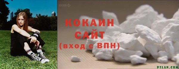 хмурый Абаза