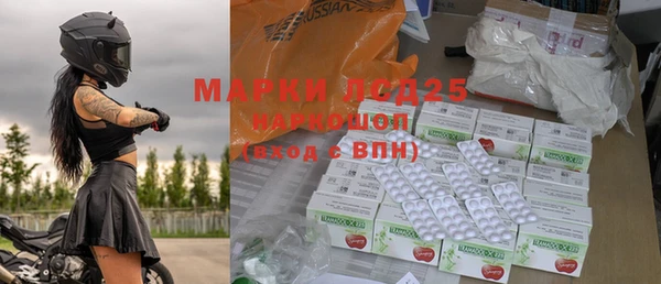 хмурый Абаза