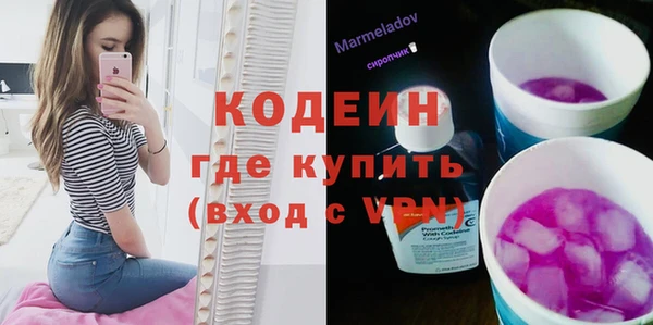 хмурый Абаза